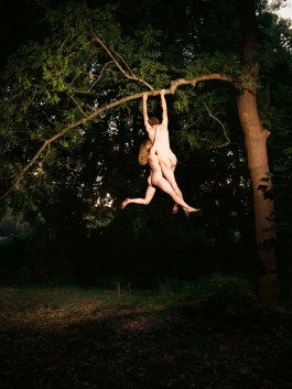 STEFAN WIELAND